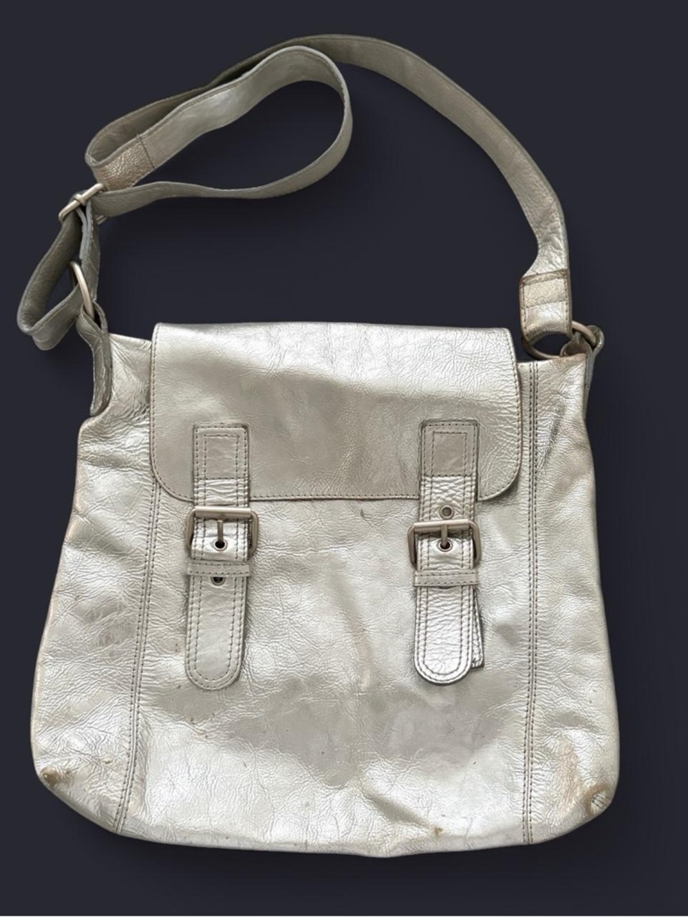 Boden Silver Metallic Leather Messenger Crossbody Bag